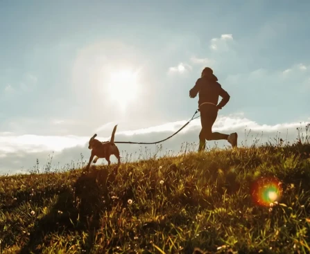 Faire du sport avec son chien en canicross dans la nature