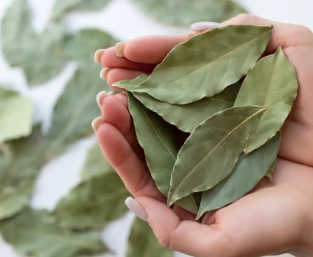 Feuilles de laurier séchées dans un sachet en tissu placé dans un placard de cuisine