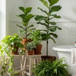 Plantes d'intérieur regroupées dans une salle de bains lumineuse pendant les vacances