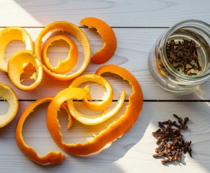 Écorces d'orange bio sur un plan de travail pour illustrer comment les recycler à la maison